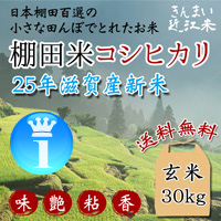 ランキング１位