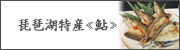 鮎