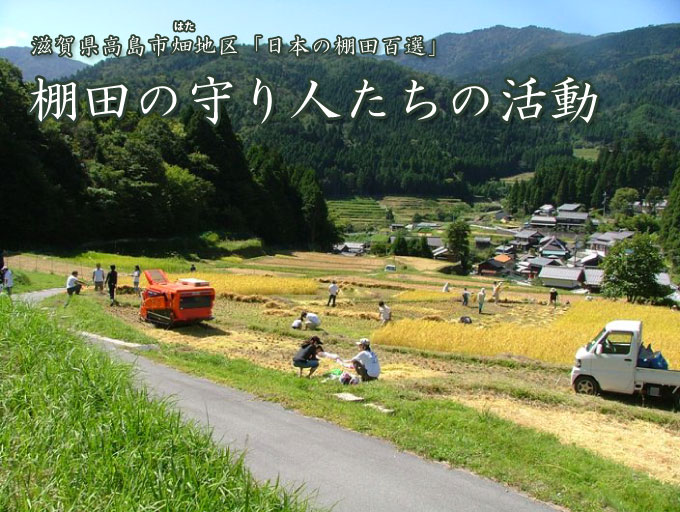 棚田の守り人たちの活動画像