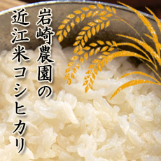 岩崎農園の近江米コシヒカリ