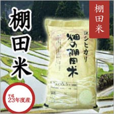 棚田米