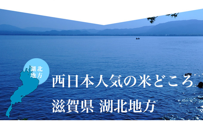 西日本人気の米どころ　滋賀県 湖北地方