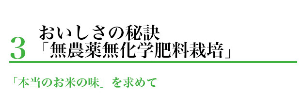 おいしさの秘訣「無農薬無化学肥料栽培」