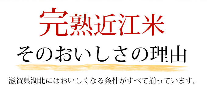 完熟近江米、そのおいしさの理由