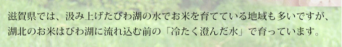 冷たく澄んだ水で育っています