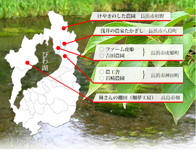 滋賀県の米づくり