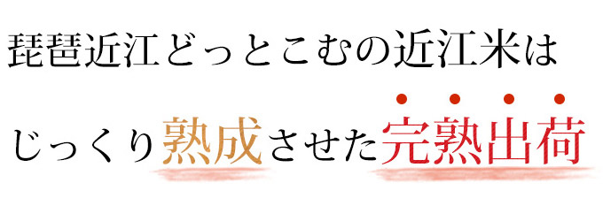 近江米はじっくり熟成させた完熟出荷