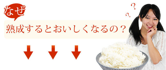 熟成するとなぜおいしいのか