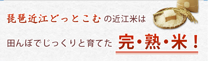 田んぼでじっくりと育てました