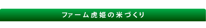 ファーム虎姫の米づくり