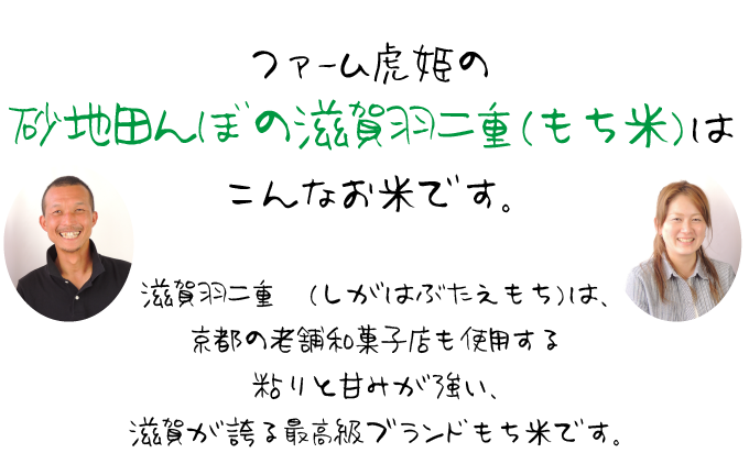 滋賀羽二重餅はこんなお米です