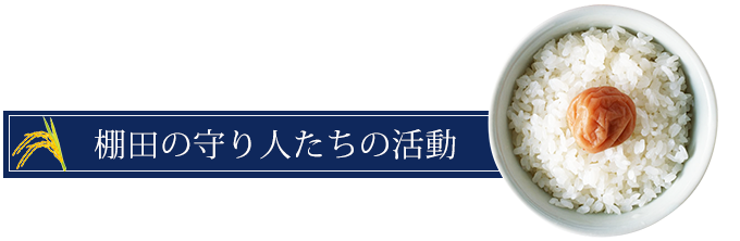 棚田の守り人たちの活動画像