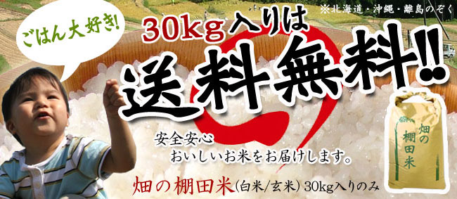 30kg送料無料