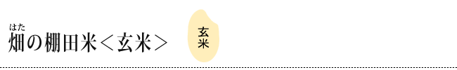 見出し