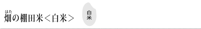 見出し