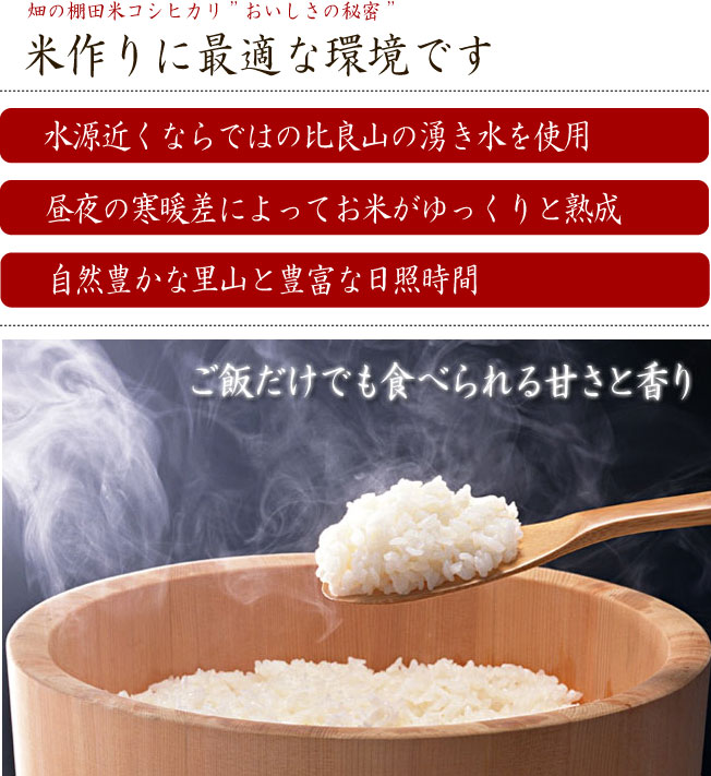 おいしさの秘密