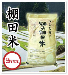 棚田米