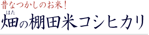 棚田米コシヒカリ