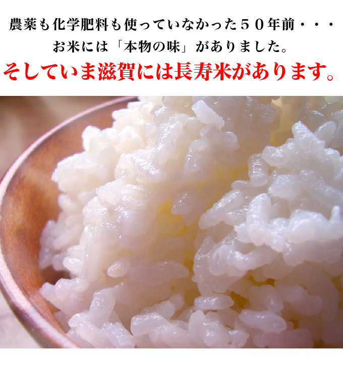 日本正規代理店品 新米 白米 特別栽培米コシヒカリ５ｋｇ有機肥料減農薬栽培