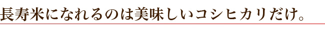 長寿米になれるのは美味しいコシヒカリだけ