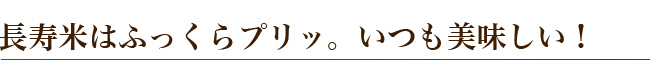 長寿米はふっくらプリッ。いつも美味しい！