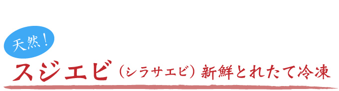 スジエビの新鮮採れたて冷凍