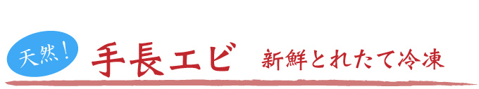 手長エビの新鮮採れたて冷凍