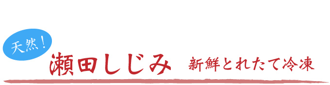 瀬田しじみの新鮮採れたて冷凍