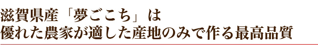 滋賀県産「夢ごこち」は優れた農家が適した産地のみで作る最高品質