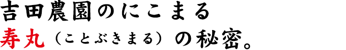 にこまる 寿丸の秘密