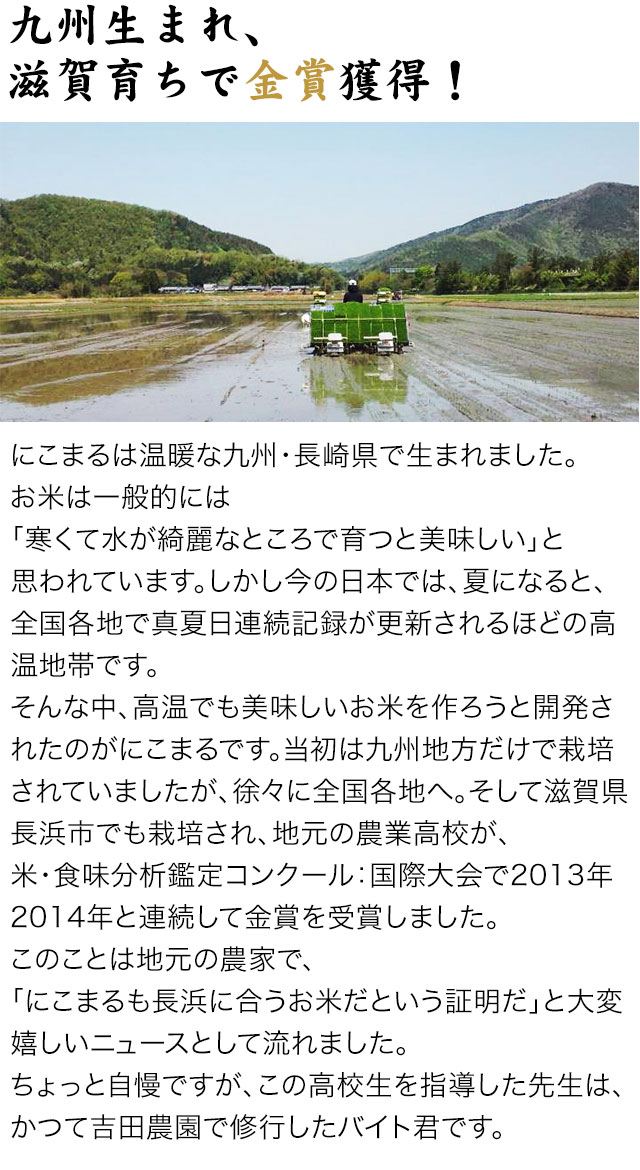 令和6年度 2024年 新米 吉田さんの無農薬寿丸（にこまる） 10kg