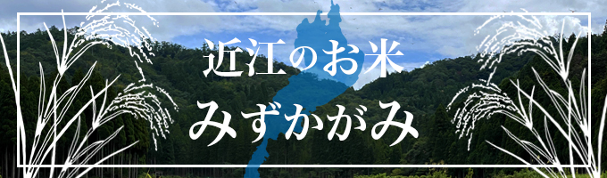 みずかがみ