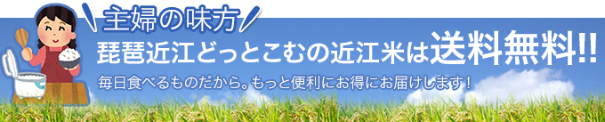 近江米は送料無料