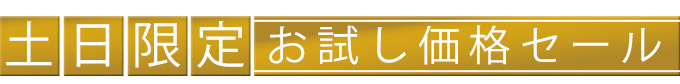 土日限定お試し価格セール