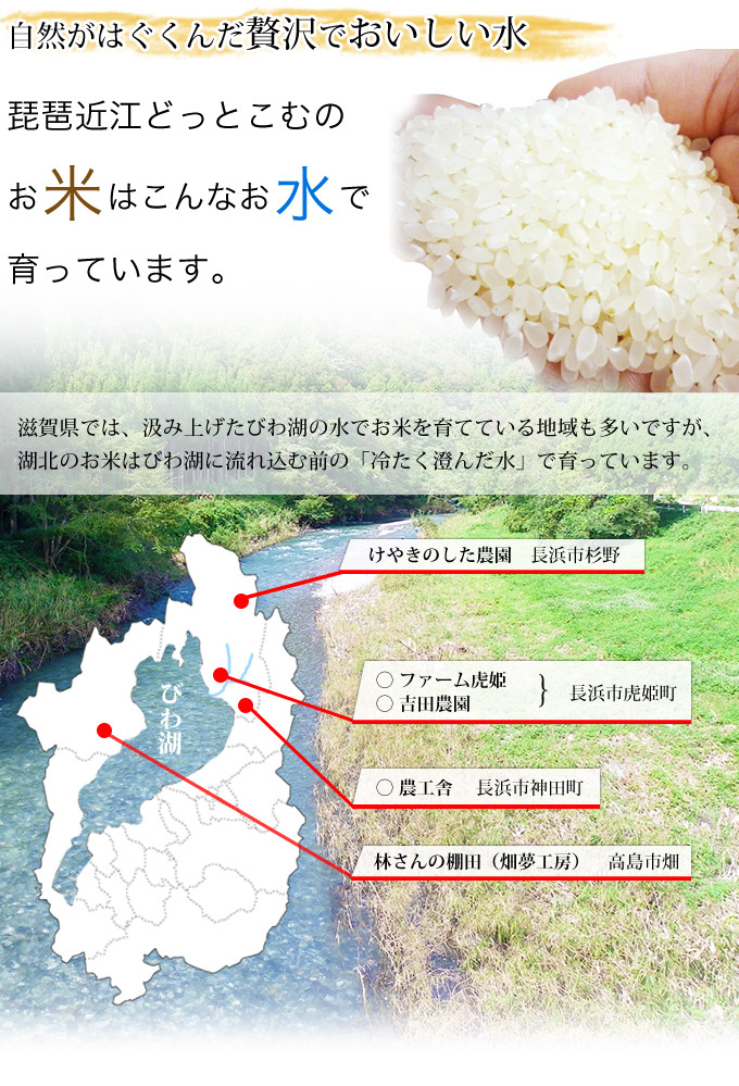 琵琶近江どっとこむのお米はこんなお水で育っています