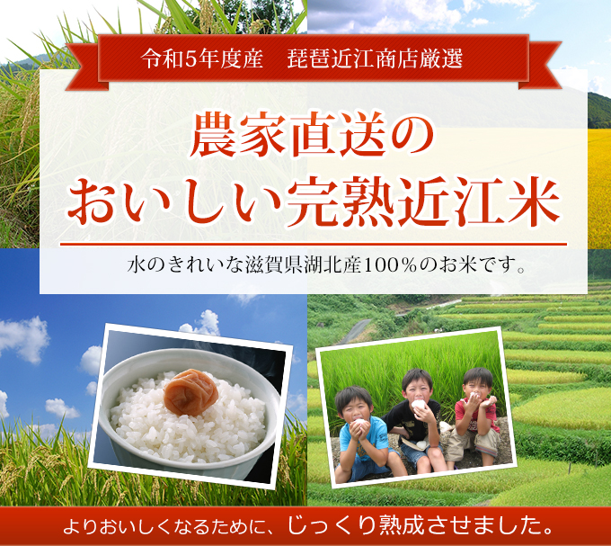 近江米 滋賀県産 新米 コシヒカリ100% 令和4年産 白米5kg 産地直送 米
