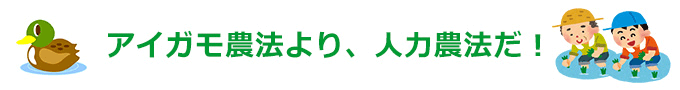 合鴨農法ではなく人力農法