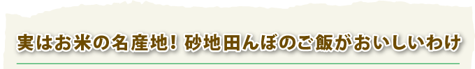 お米の名産地、砂地田んぼののお米がおいしいわけ
