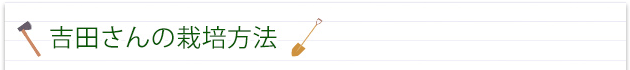 吉田農園の栽培方法