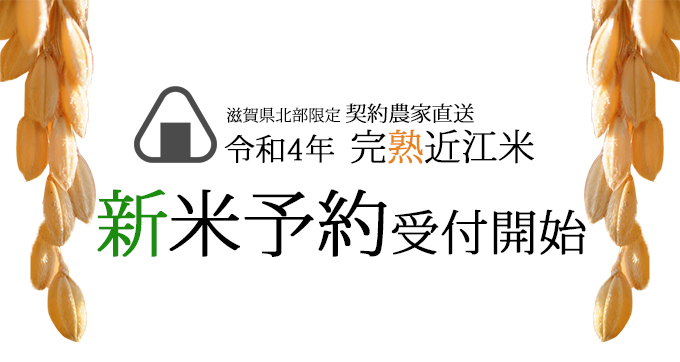 近江米 令和4年度新米