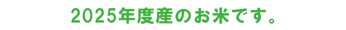 2025新米