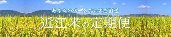 お米の定期