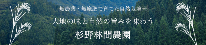 杉野林間農園の自然栽培米
