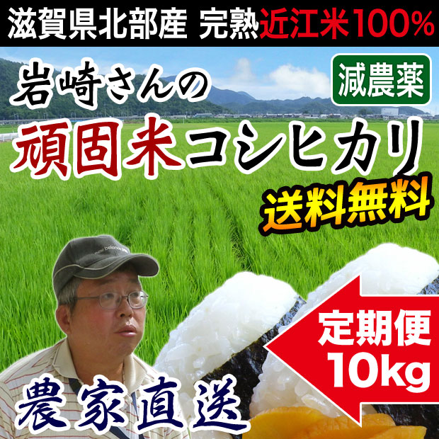 頑固米コシヒカリ