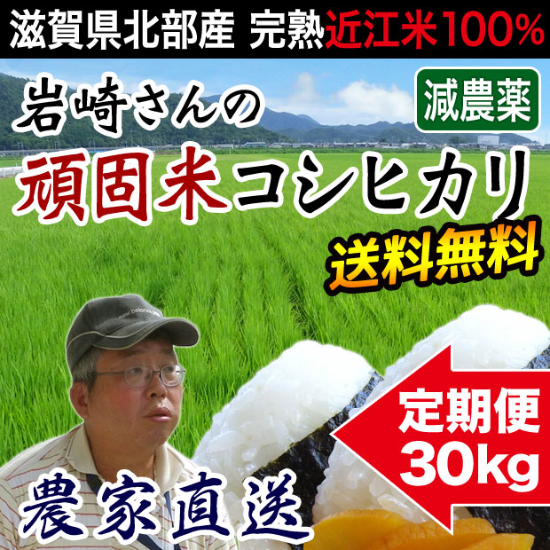 頑固米コシヒカリ