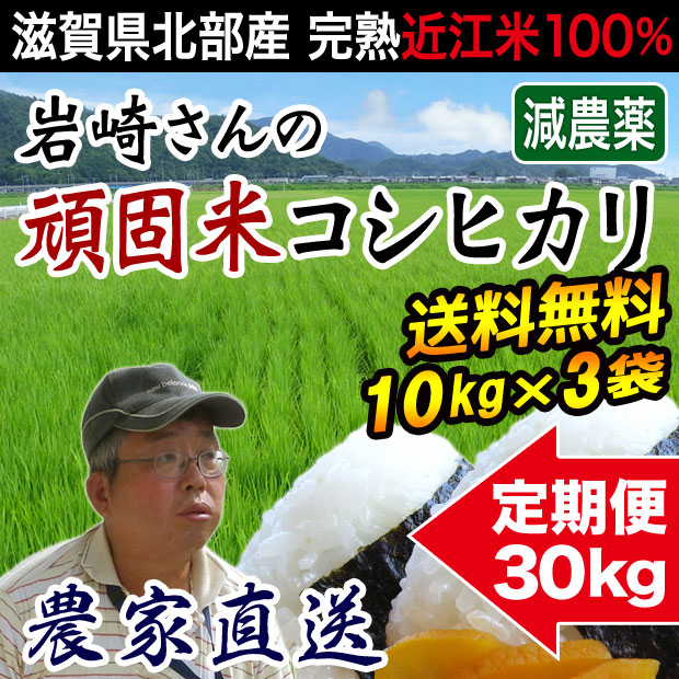 頑固米コシヒカリ