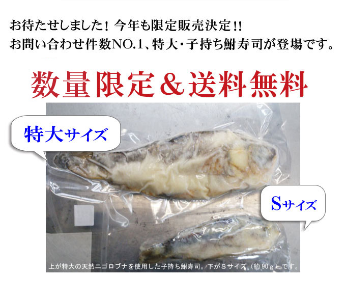 特大 子持ち鮒寿司が登場です 数量限定＆送料無料