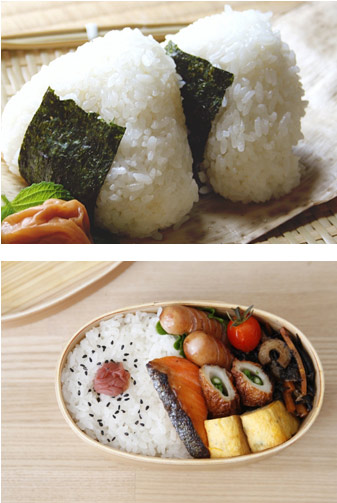 Amazon.co.jp: みずかがみ 令和6年産 滋賀産 10kg (5kg×2) 近江